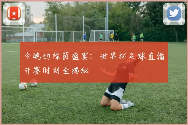 今晚的绿茵盛宴：世界杯足球直播开赛时刻全揭秘