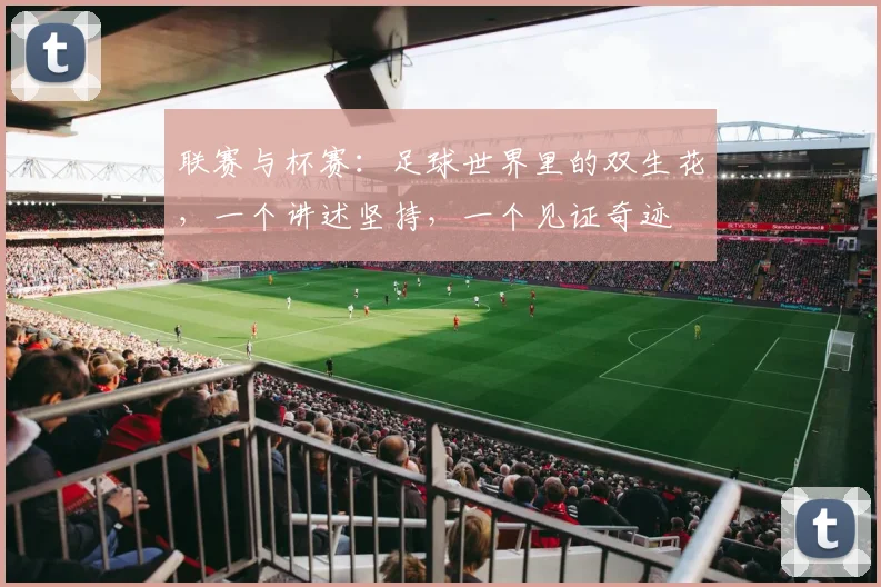 联赛与杯赛:足球世界里的双生花,一个讲述坚持,一个见证奇迹